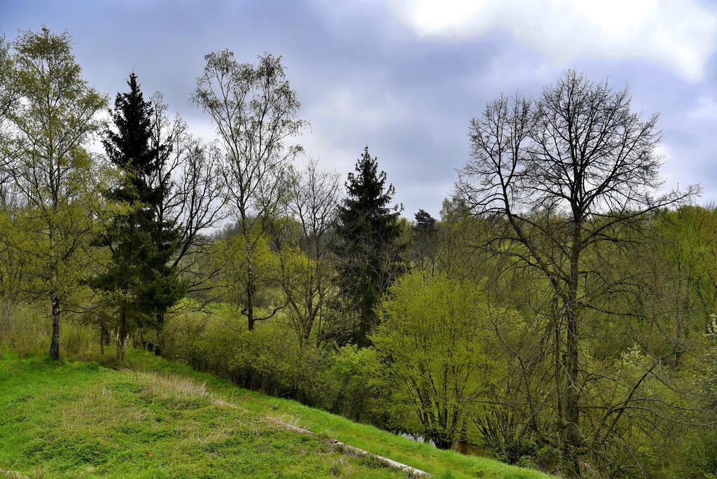 Holiday Home Turovec ターボル エクステリア 写真